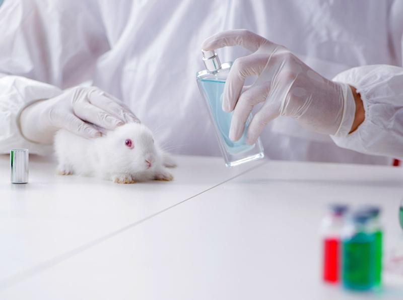 Bang California, Mỹ chính thức cấm thử nghiệm mỹ phẩm trên động vật