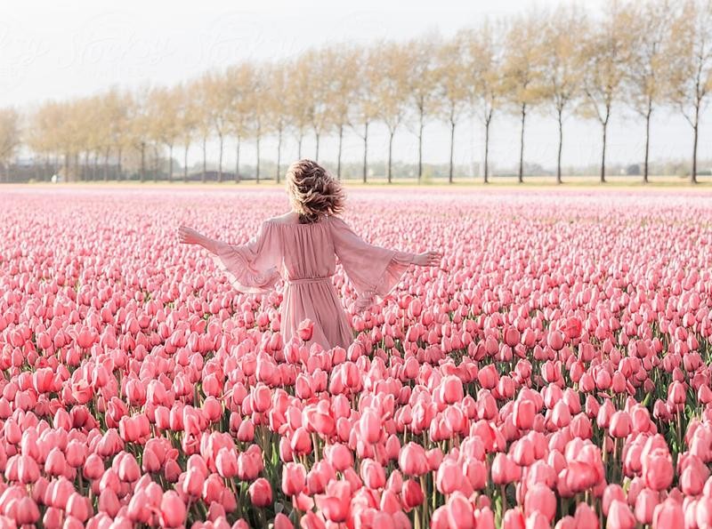 Hoa tulip có công dụng dưỡng da như thế nào?