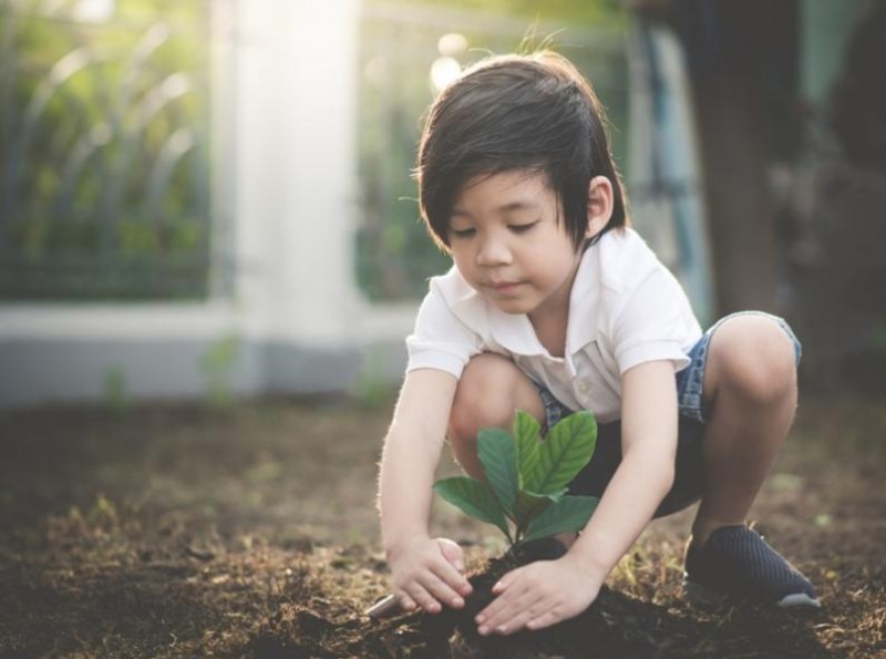 Giúp con nuôi dưỡng tình yêu với môi trường và bảo vệ những món quà thiên nhiên ban tặng